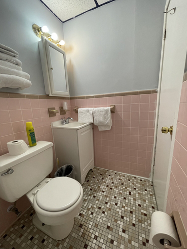 Bathroom 4, Searay Motel, Cape May