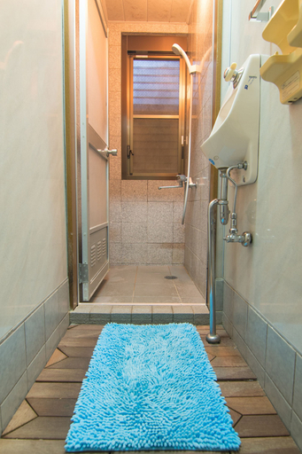 Bathroom 5, Asakusa Fukudaya, Taitō