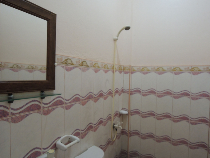 Bathroom 2, La Erma Pension House, Argao