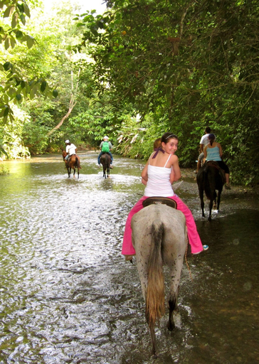 Others 4, Bosque del Cabo Rain Forest Lodge, Golfito