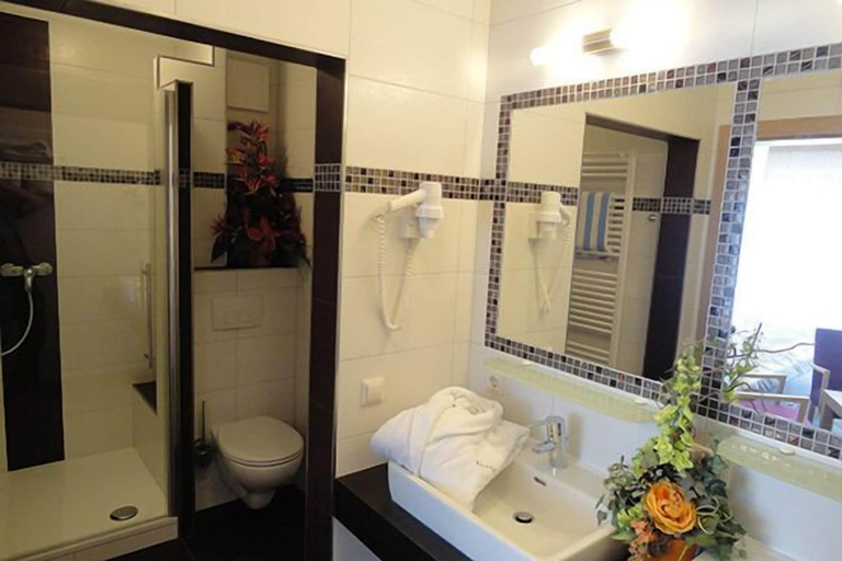 Bathroom 4, Hotel Lenauhof, Rottal-Inn