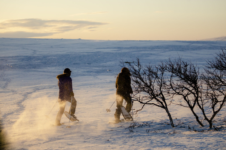 Others 5, Holiday Village Valle, Lapland