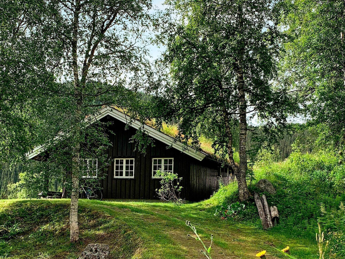 Exterior & Views 2, 8 Person Holiday Home in Flatdal, Seljord