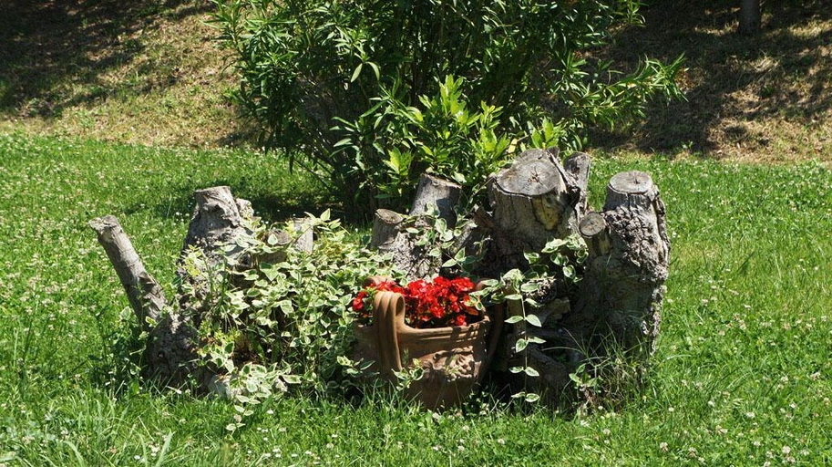 Others 5, Agriturismo Case Mori, Rimini
