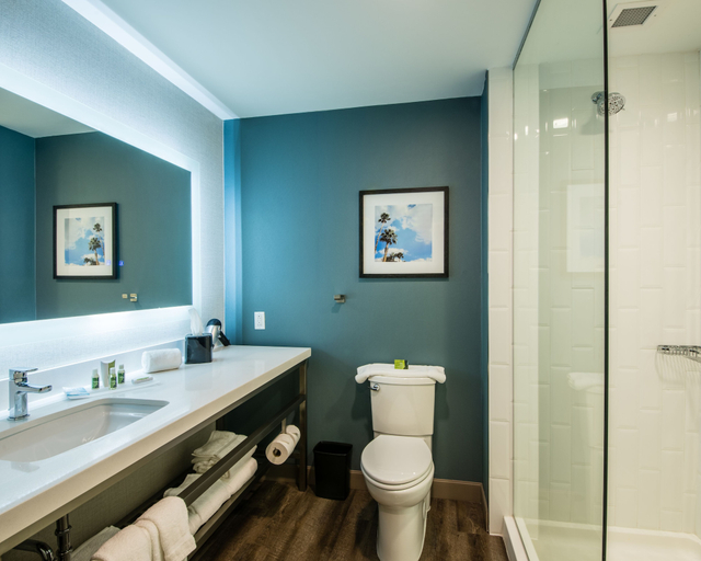 Bathroom 5, Cambria Hotel McAllen Convention Center, Hidalgo