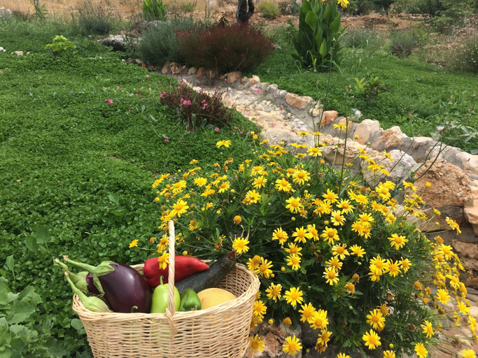 Garden, Ambar Evleri, Kaş