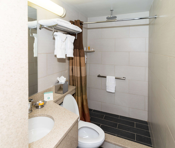 Bathroom 3, Hotel Le Jolie, New York