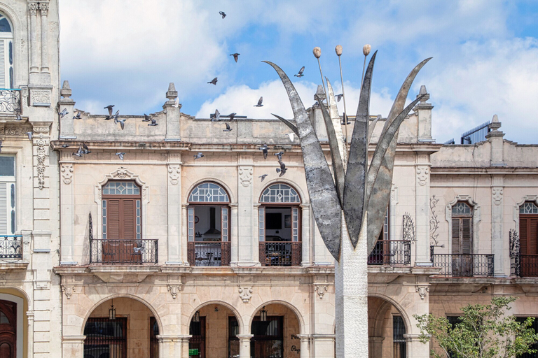 Exterior 2, Vista Plaza Vieja, Centro Habana