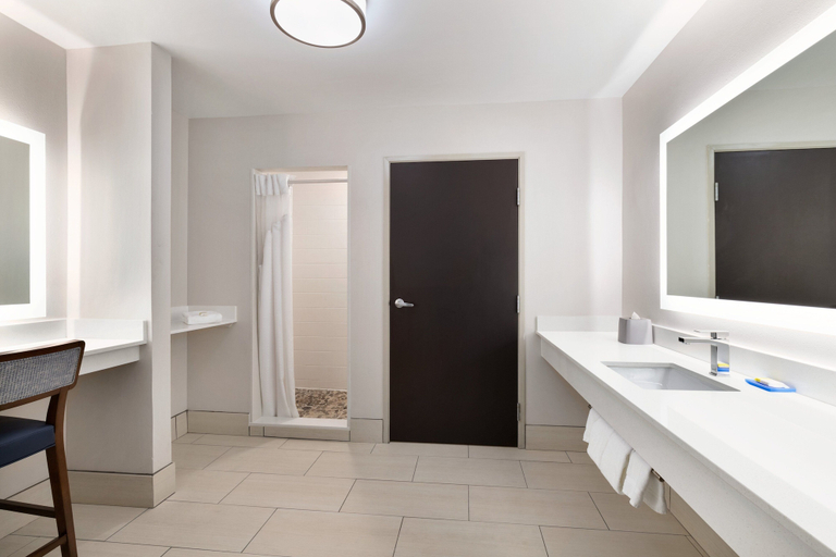 Bathroom 5, Holiday Inn Express & Suites AUBURN - UNIVERSITY AREA by IHG, Lee