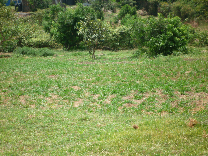 Others 4, Cawaal Hotels, Kisumu Central