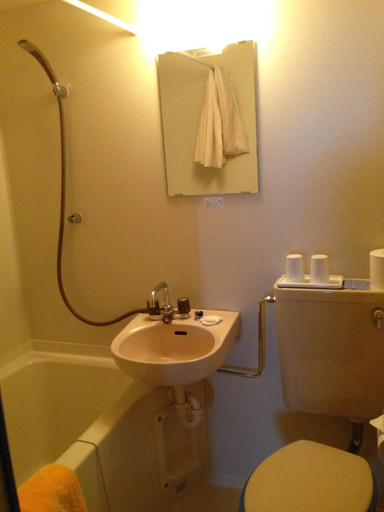Bathroom 4, Towadako Lakeview Hotel, Towada