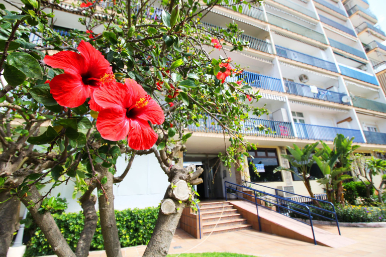 Exterior & Views 2, Crucero - Apartamento en 1ª línea de playa, Almería