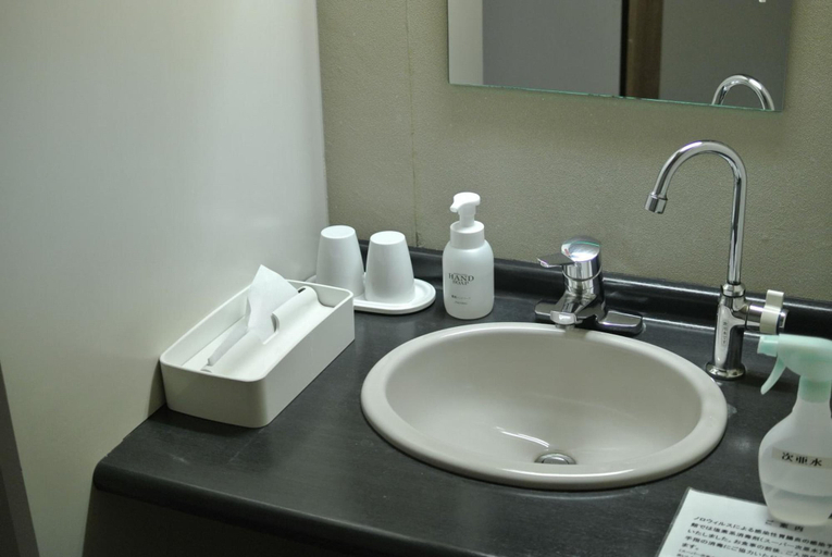 Bathroom 3, Shintamagawa Onsen, Semboku