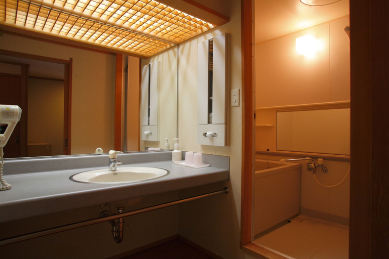 Bathroom 5, Shibu Onsen Sakaeya, Yamanouchi