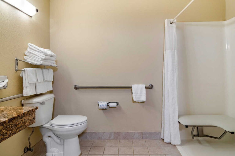 Bathroom 3, Comfort Inn & Suites Suwanee - Sugarloaf, Gwinnett