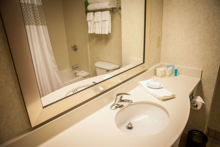 Bathroom 4, Hampton Inn & Suites Springfield-Southwest, Sangamon