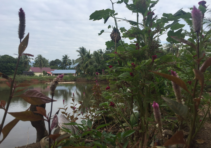 Others 5, Bakau Hijau Riverlodge - Hostel, Kuala Muda