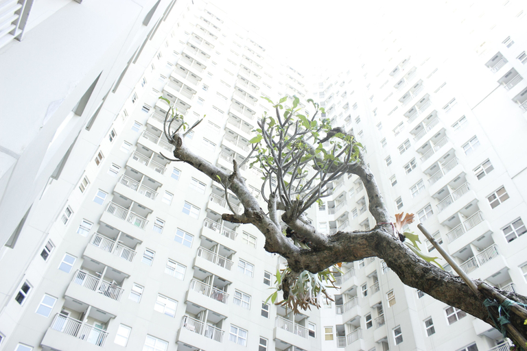 Exterior & Views, 2Br Cozy Apartment At Parahyangan Residence, Bandung