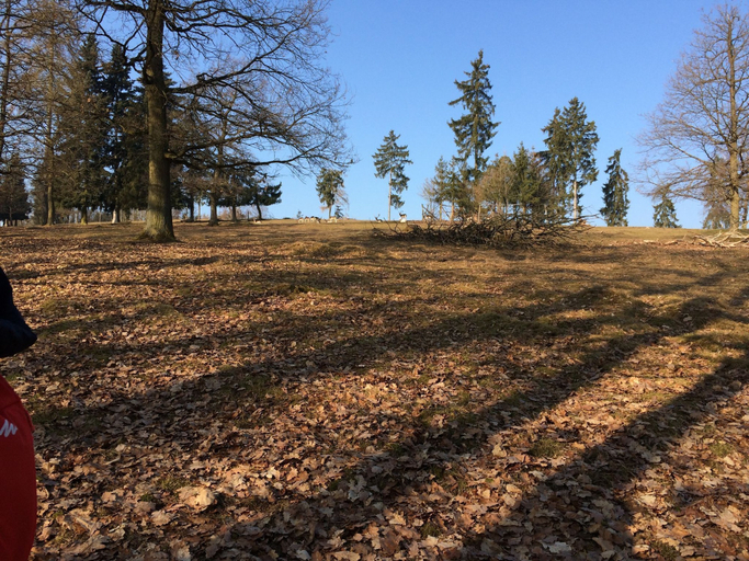 Others 5, Spacious Holiday Home in Neukirchen near Forest, Waldeck-Frankenberg