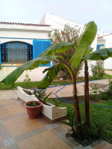 Exterior & Views 2, Fdw Chalet, Tétouan