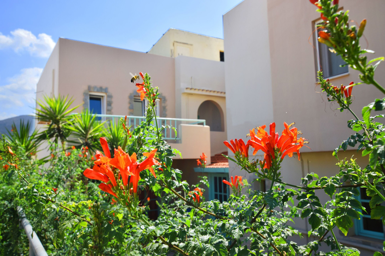Exterior & Views 2, Lotus Studios, Crete