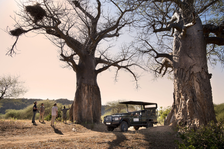 Others 5, Baobab Hill House by RETURN Africa, Vhembe