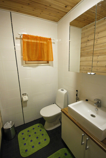 Bathroom 3, Kärkiniemi, North Savonia