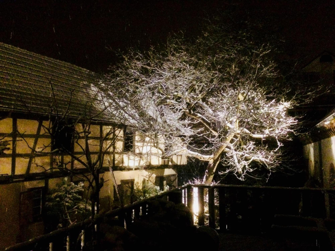 Exterior & Views 2, L'Ours, Bas-Rhin