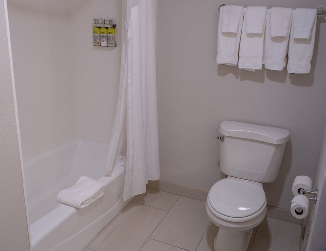 Bathroom 5, Holiday Inn Express & Suites CONOVER (HICKORY AREA) by IHG, Catawba