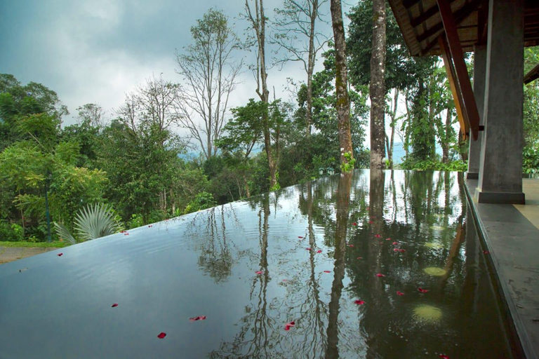 Public Area 3, Vythiri Mist Resort, Wayanad