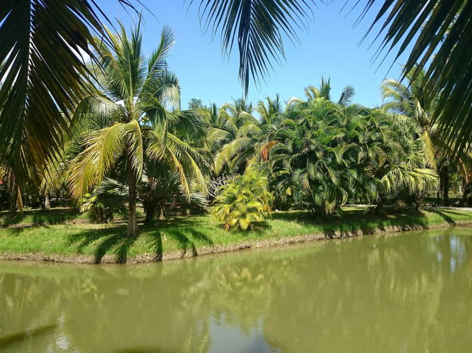 Others 5, Coconut Valley Bed & Breakfast, Hua Sai