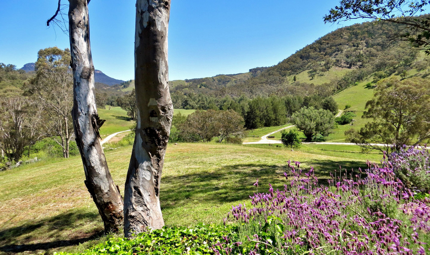 Others 5, Capertee National Park Cottages, Lithgow
