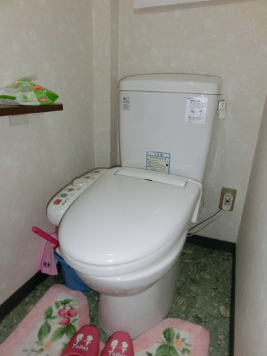 Bathroom 2, Spa Inn Oyado Iguchi, Takayama