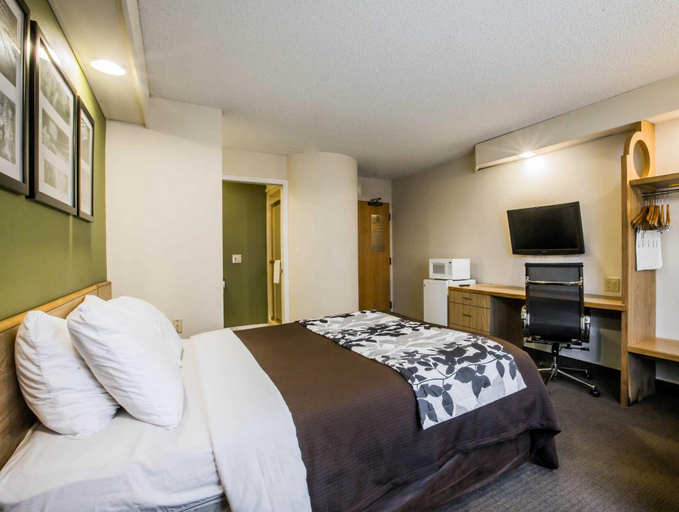 Bedroom 3, Rodeway Inn Austell Six Flags, Cobb