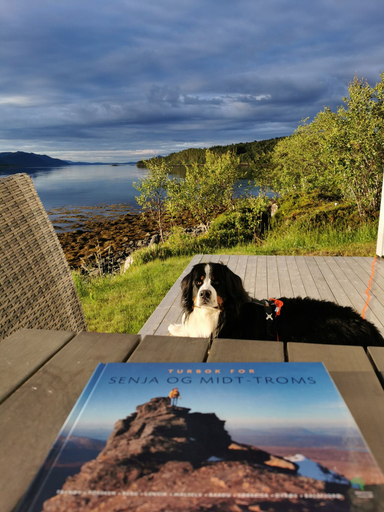 Others 4, Senja Arctic Lodge AS, Tranøy