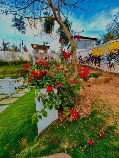 Others 4, Tvessa A Boutique Hotel Goa, North Goa