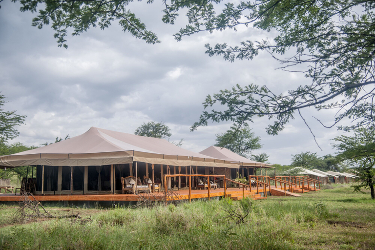 Others 5, Serengeti Acacia Central Camp, Serengeti