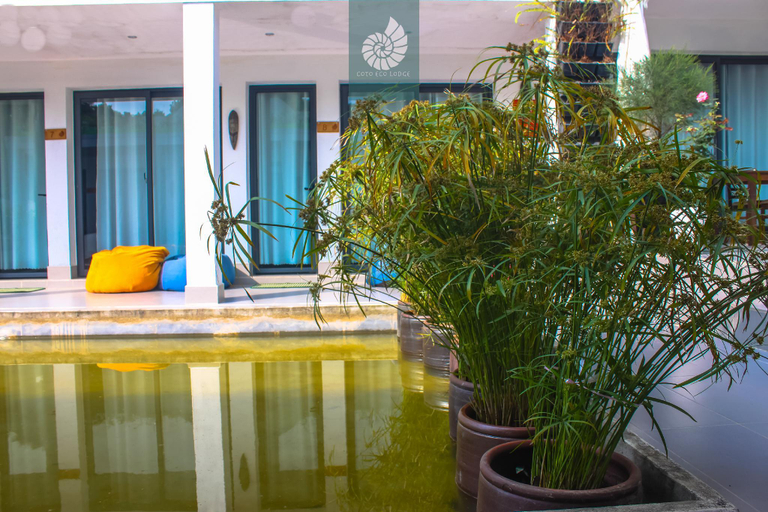 Sport & Beauty 5, Coto Eco Lodge, Cô Tô