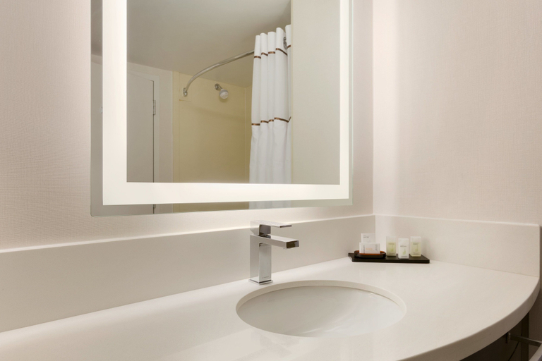 Bathroom 4, Embassy Suites by Hilton Newark Wilmington South, New Castle
