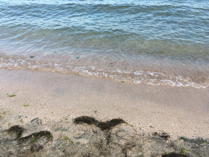 Others 4, DayDream, Pomorie