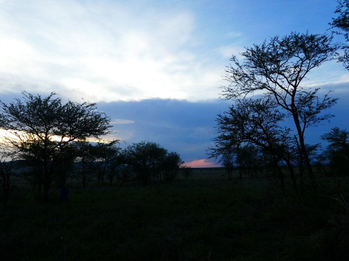 Others 3, Serengeti Acacia Central Camp, Serengeti