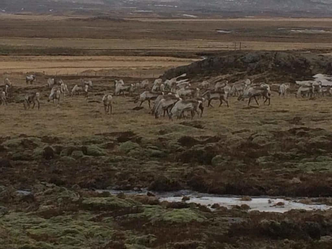 Others 5, Gljúfraborg, Breiðdalshreppur