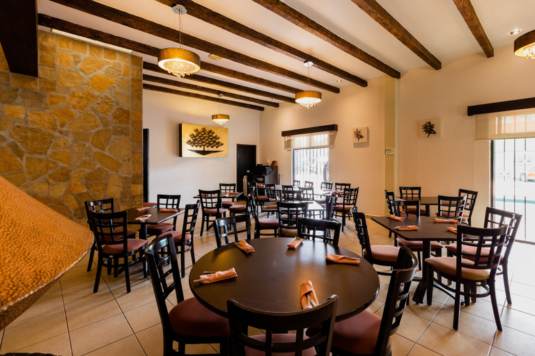 Food & Drinks 4, Hotel Villa Mercedes San Cristobal, San Cristóbal de las Casas