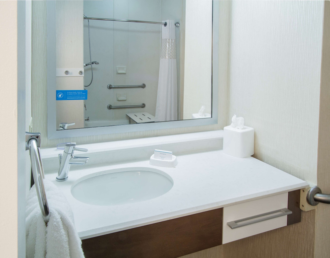 Bathroom 4, Hampton Inn South Haven, Van Buren