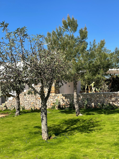 Exterior & Views 2, Masseria Baroni di Montesardo, Lecce