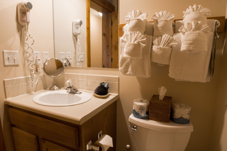 Bathroom 4, Silver Moon Inn, Larimer
