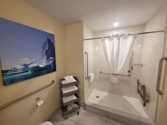 Bathroom 5, Best Western Plus St. John's Airport Hotel and Suites, Division No. 1