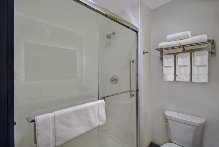 Bathroom 4, Holiday Inn GRAND RAPIDS NORTH - WALKER by IHG, Kent