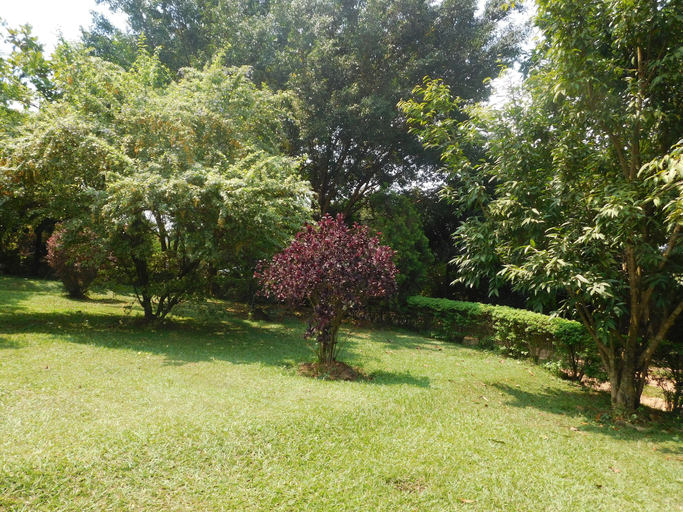 Others 4, Captivating 2-bed Cottage in Kampala, Jinja