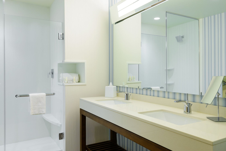 Bathroom 4, Courtyard Buffalo Downtown / Canalside, Erie